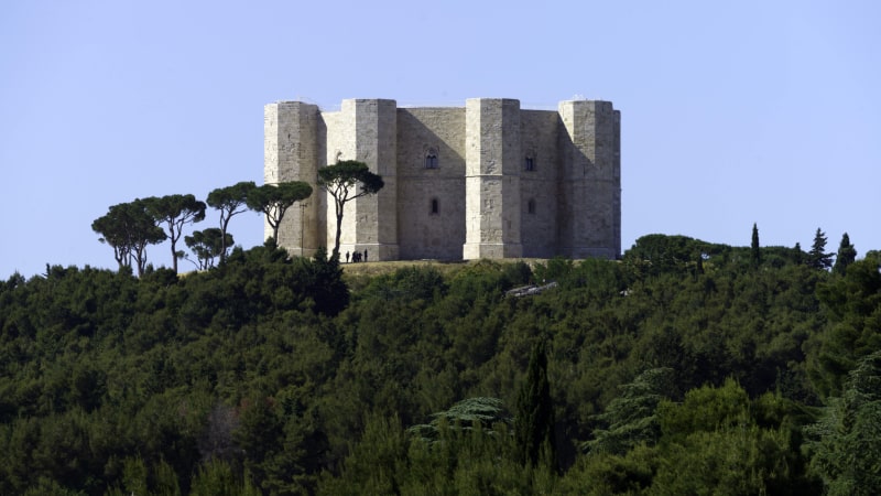 Das große historische Schloss aus hellem Stein mit zylindrischen Türmen thront unter einem klaren blauen Himmel auf einem bewaldeten Hügel.