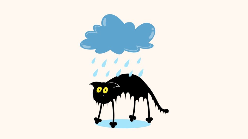 Eine Cartoon-Illustration einer nassen, traurigen schwarzen Katze, die unter einer Regenwolke steht und von deren Körper Wasser tropft. Eine Anspielung auf die italienische Redewendung: piove sul bagnato.