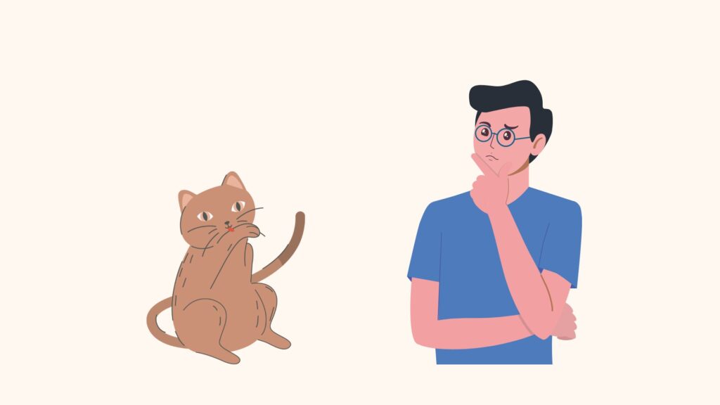 Ein illustrierter Mann mit Brille und nachdenklichem Gesichtsausdruck blickt auf eine sitzende Katze, die ihre Pfote leckt. Eine Anspielung auf die italienische Redewendung: peli sulla lingua.