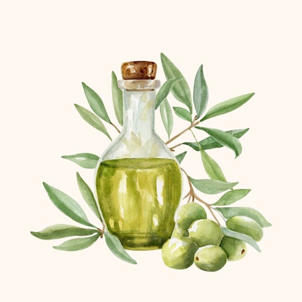 Italienisches Olivenöl mit Oliven – Grundzutat der mediterranen Küche.