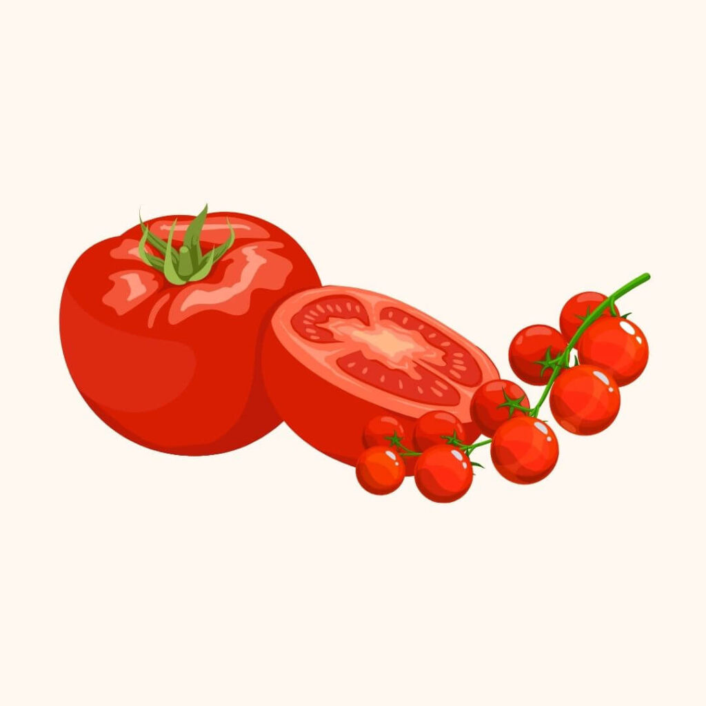 Frische Tomaten – unverzichtbare Zutat für italienische Pasta-Saucen und Pizza.